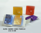 30-name-card-pamelo-6238.png